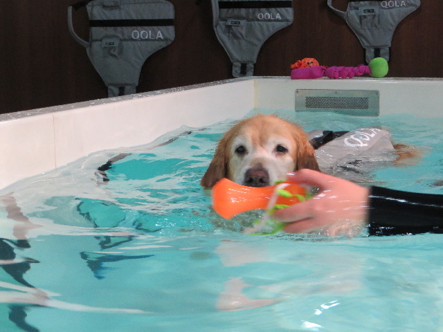 ファイル 4954-3.jpg