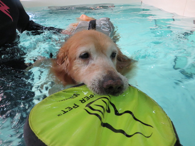 ファイル 4954-4.jpg