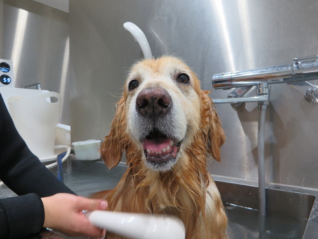 ファイル 4954-5.jpg