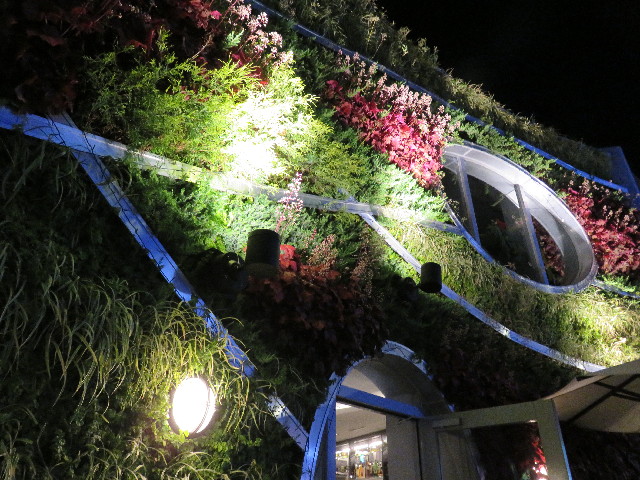 ファイル 4955-2.jpg