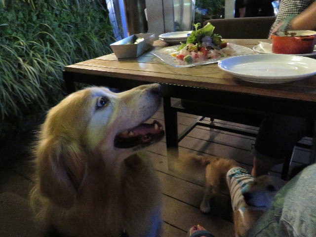 ファイル 4955-3.jpg