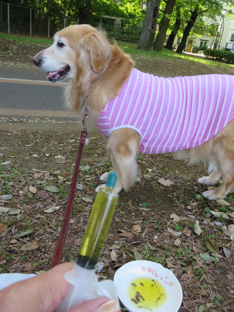 ファイル 4956-4.jpg