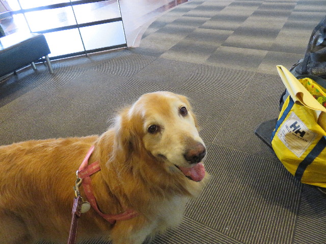 ファイル 4957-2.jpg