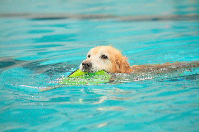 ファイル 4958-3.jpg