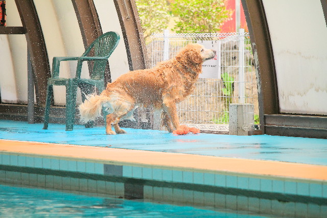 ファイル 4958-5.jpg