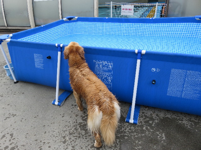 ファイル 4959-3.jpg