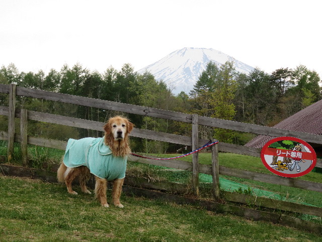 ファイル 4959-5.jpg