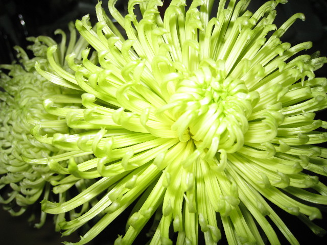 ファイル 496-1.jpg