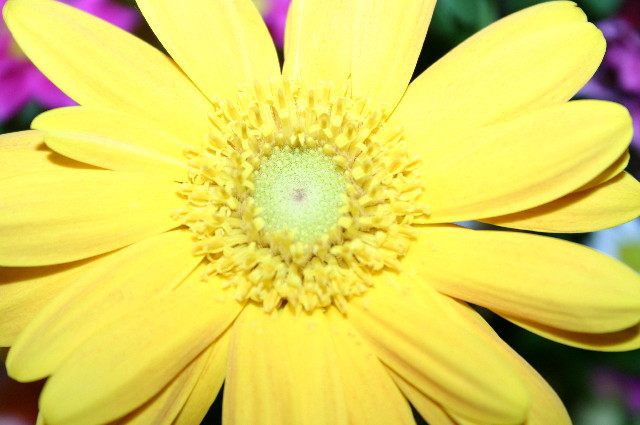 ファイル 496-4.jpg