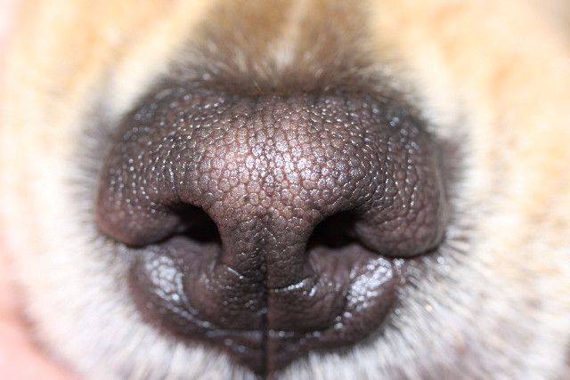 ファイル 496-5.jpg