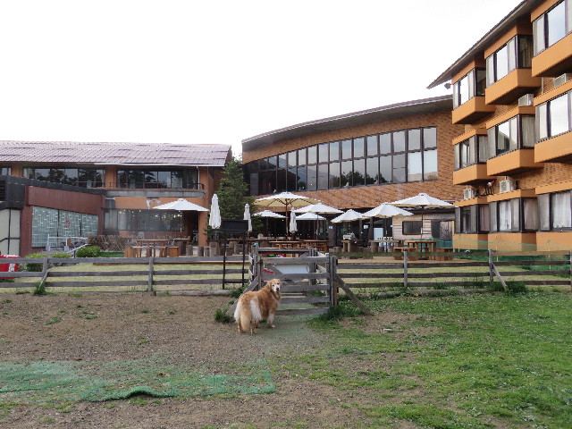 ファイル 4960-1.jpg