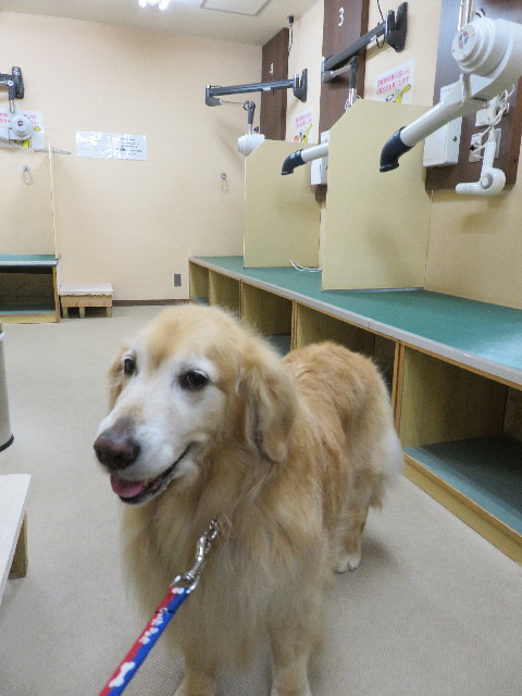 ファイル 4960-2.jpg