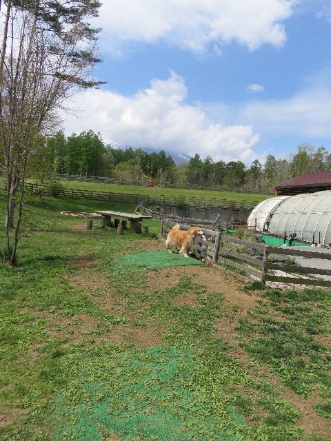 ファイル 4961-1.jpg