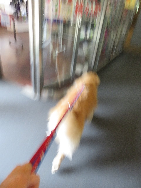 ファイル 4961-2.jpg