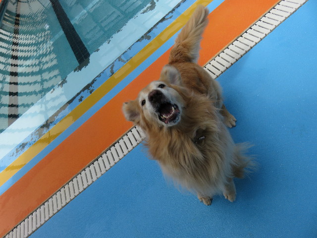 ファイル 4961-3.jpg