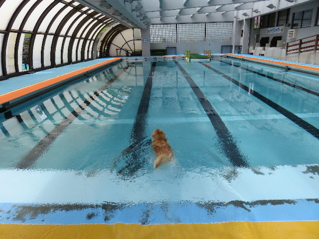 ファイル 4961-4.jpg