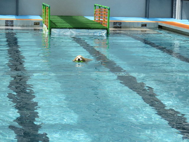 ファイル 4961-5.jpg