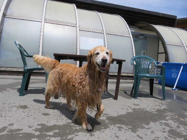 ファイル 4962-2.jpg