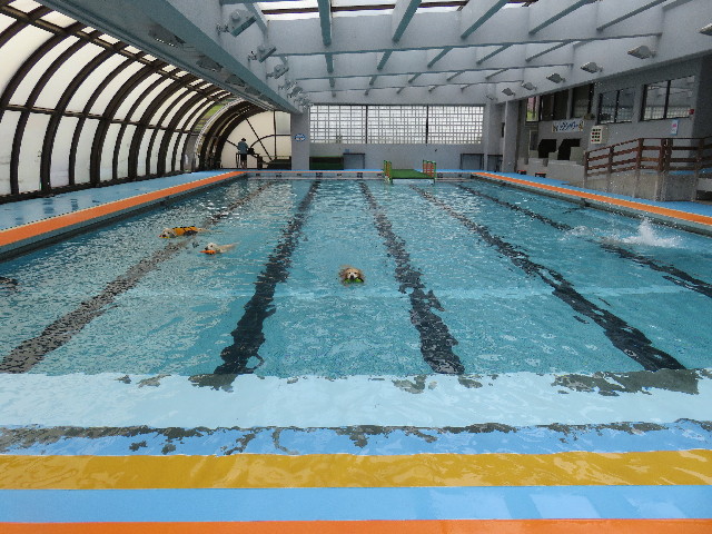 ファイル 4962-5.jpg