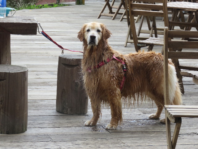 ファイル 4963-1.jpg