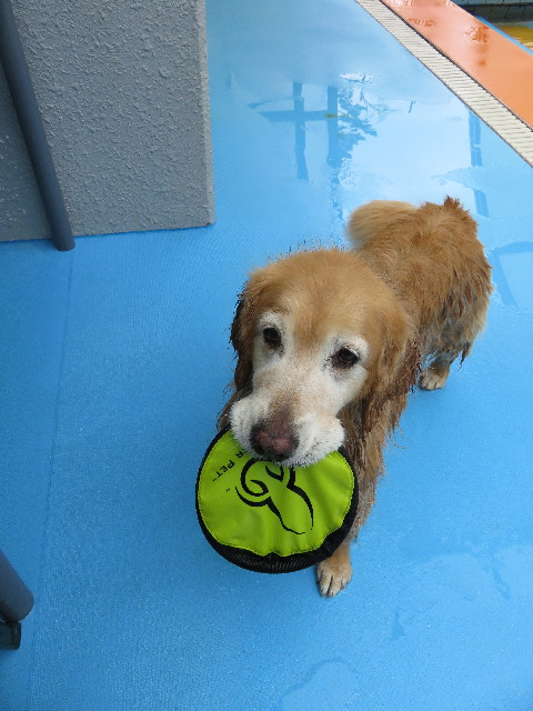 ファイル 4963-2.jpg