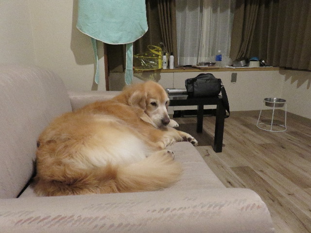 ファイル 4963-4.jpg