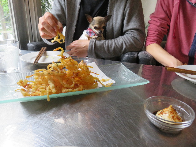 ファイル 4965-1.jpg