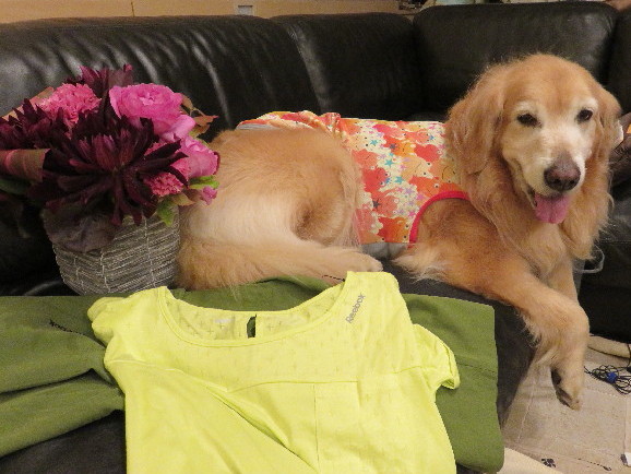 ファイル 4965-5.jpg