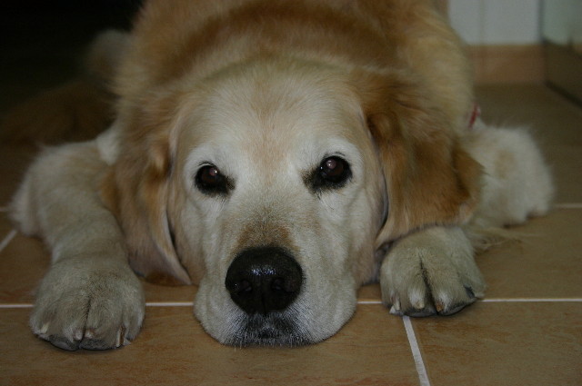 ファイル 4966-1.jpg