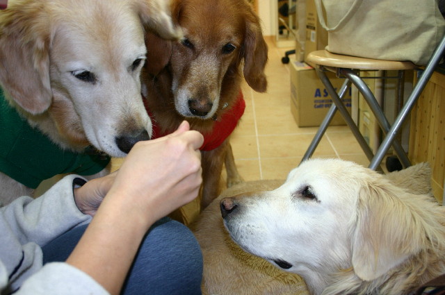 ファイル 4966-3.jpg