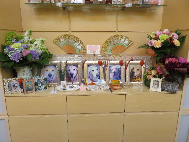 ファイル 4966-5.jpg