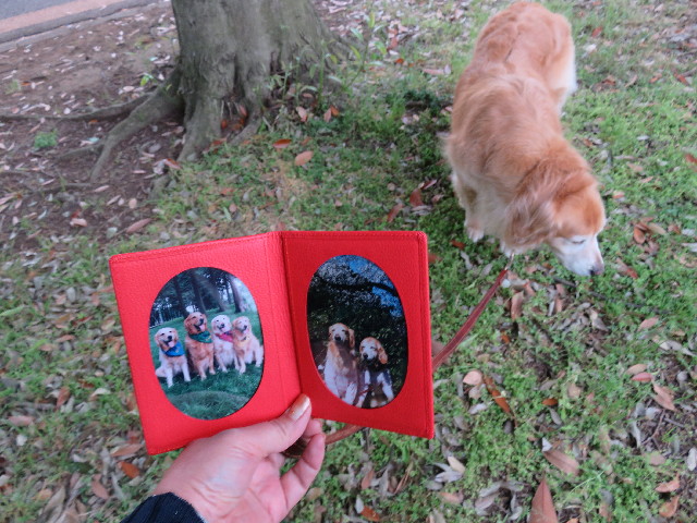 ファイル 4967-2.jpg