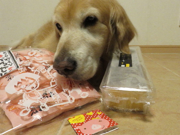 ファイル 4967-5.jpg