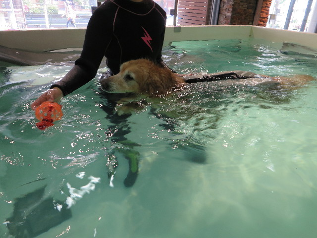 ファイル 4969-2.jpg