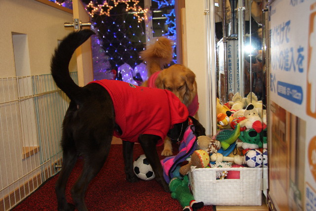 ファイル 497-1.jpg