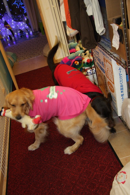 ファイル 497-2.jpg