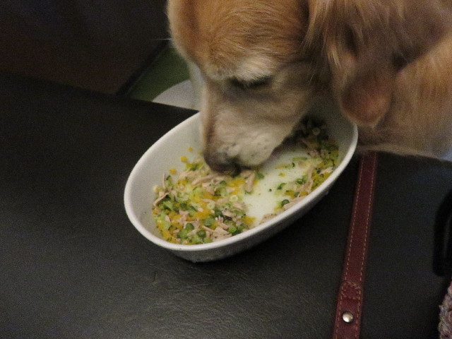 ファイル 4970-4.jpg