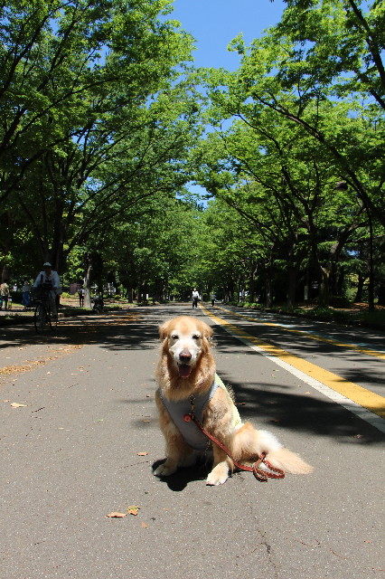 ファイル 4974-1.jpg