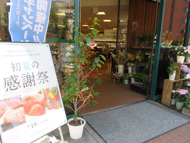 ファイル 4976-5.jpg