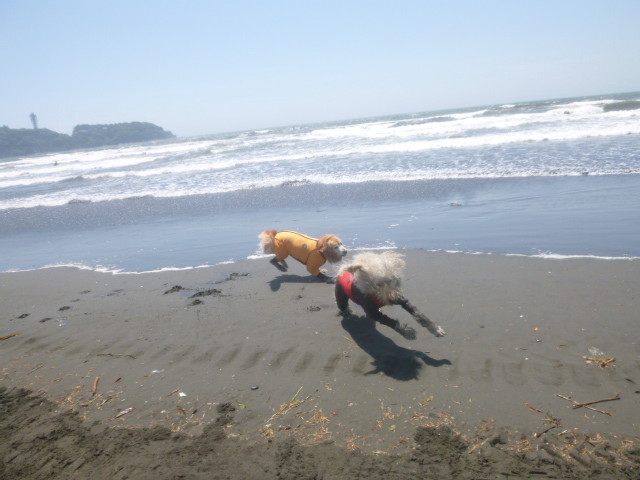 ファイル 4977-2.jpg