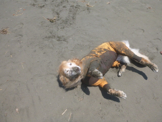 ファイル 4977-4.jpg