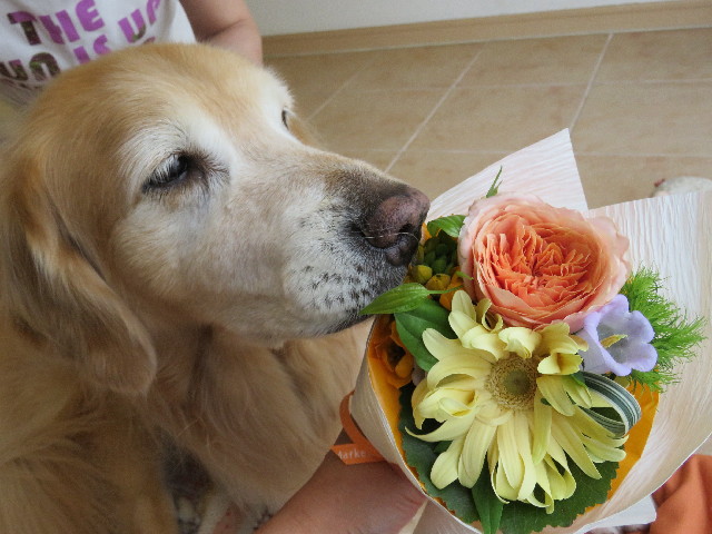 ファイル 4979-3.jpg