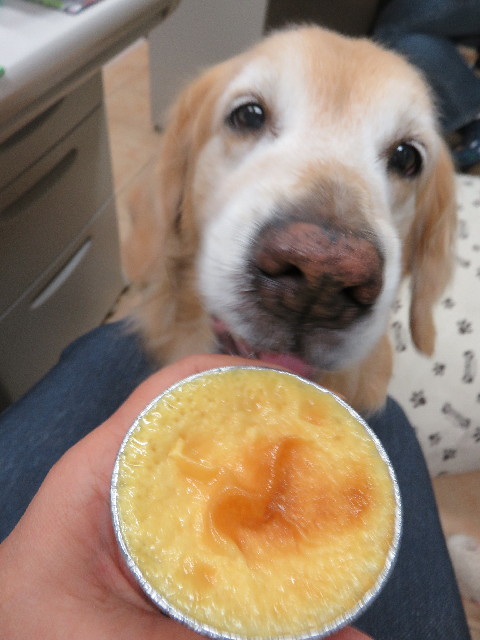 ファイル 4979-5.jpg