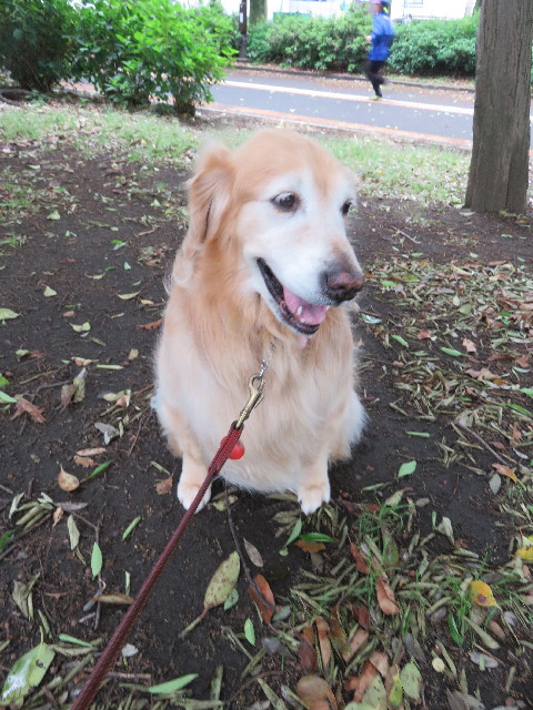 ファイル 4980-1.jpg