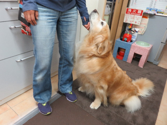 ファイル 4980-2.jpg