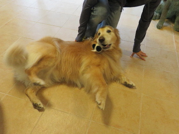 ファイル 4980-4.jpg