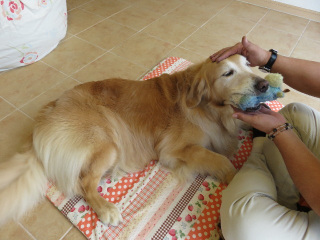 ファイル 4981-5.jpg