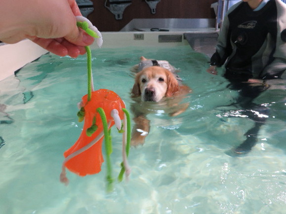 ファイル 4982-1.jpg