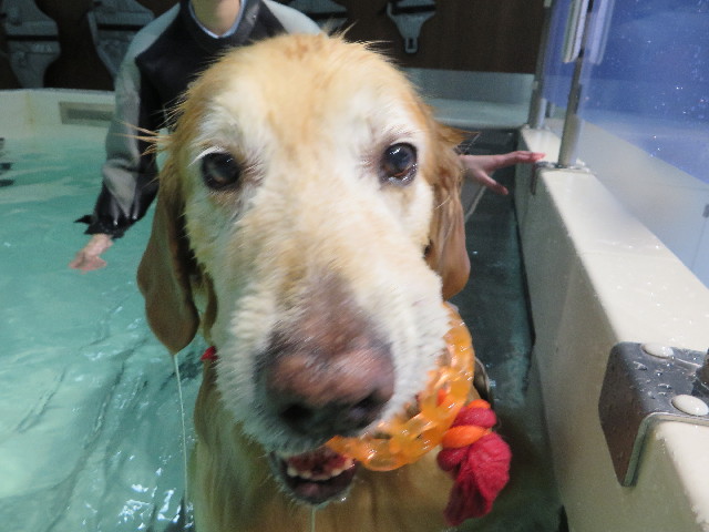 ファイル 4982-2.jpg