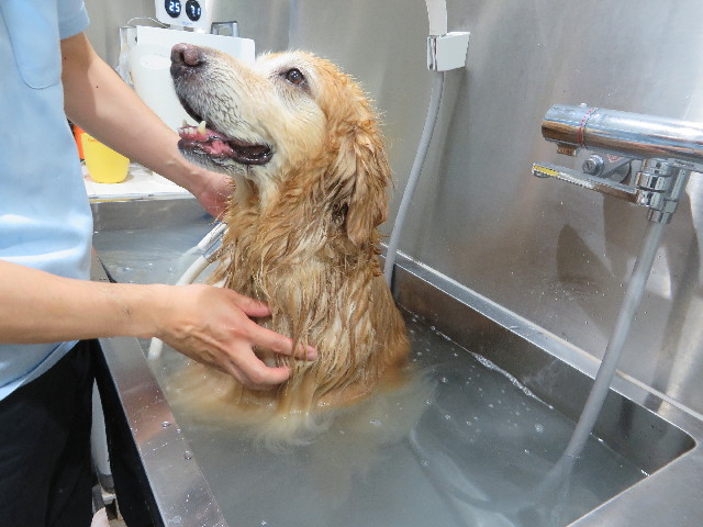 ファイル 4982-5.jpg